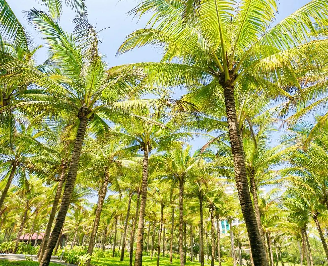 Ocean Waves Resort Cam Ranh Cam Lam