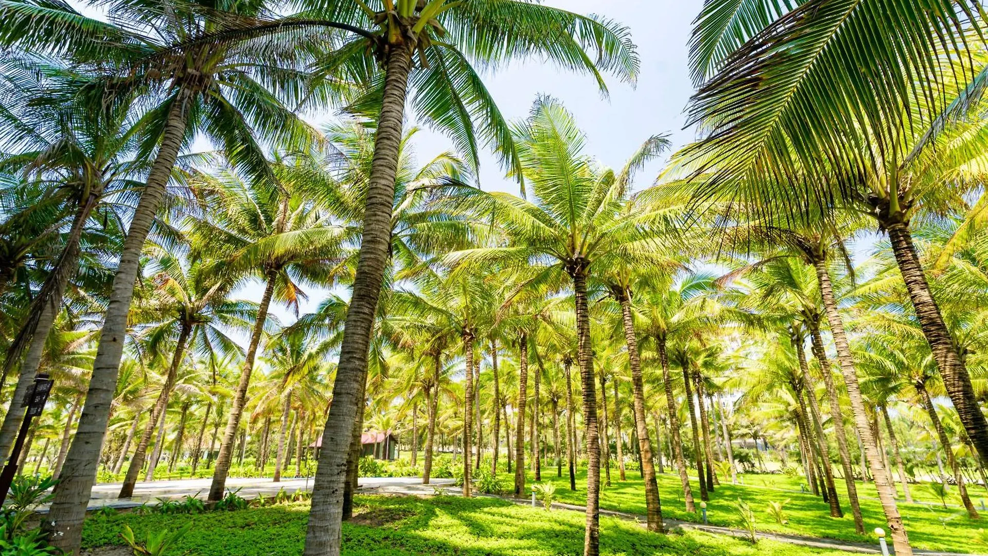 Ocean Waves Resort Cam Ranh Cam Lam